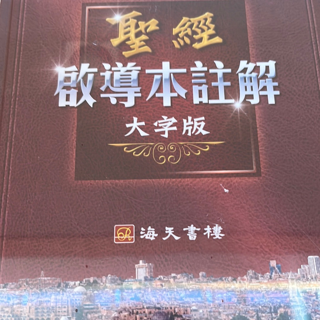 中文聖經啟導本注釋 - 大字版 Chinese Study Bible Chinese Union Version Explanation (without Bible Verse) (繁) 中文圣经启导本注释 - 大字版