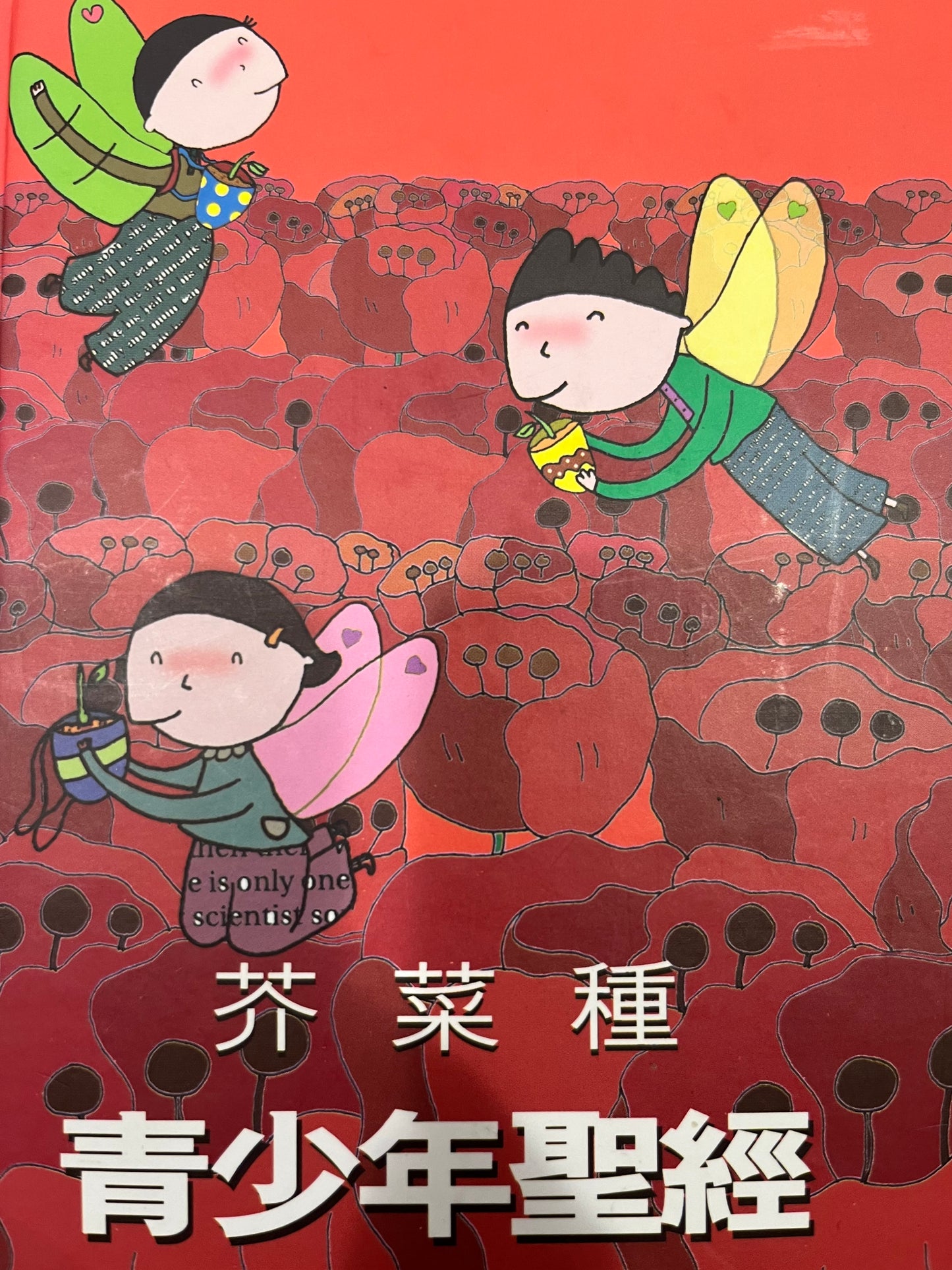 香港圣经 芥菜种青少年圣经 | Hong Kong Bible Society-The Mustard Seed Youth Bible | 香港聖經公會- 芥菜種青少年聖經 繁