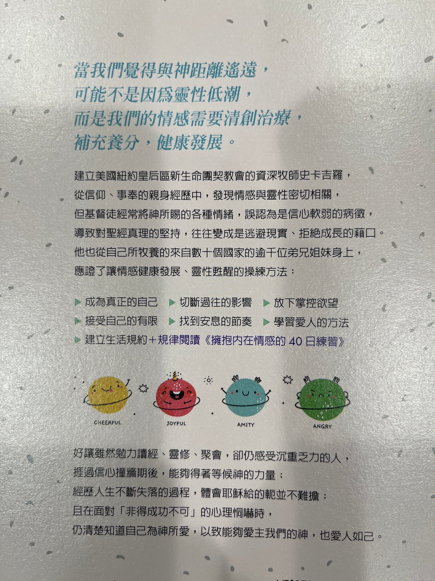 情感健康的門徒:給每個大人的情感成長學/Emotionally healthy spirituality/情感健康的门徒:给每个大人的情感成长学(繁体版)