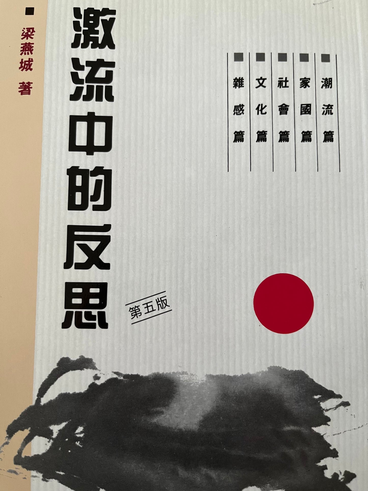 激流中的反思 The Reflections in Times of Upheaval 激流中的反思 繁 豎版