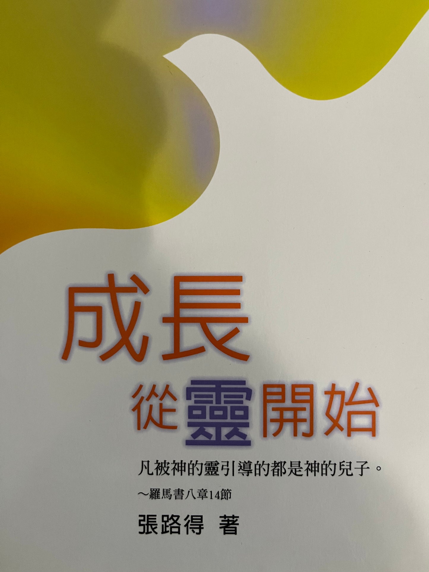 成长.从灵开始 Growing up. Start from the spirit 成長. 從靈開始 繁 豎體版