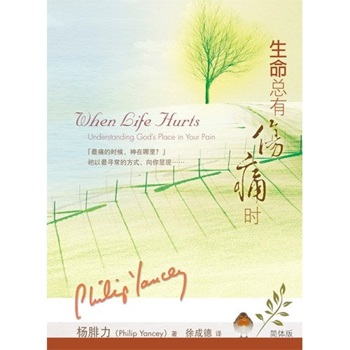 生命總有傷痛時(簡體版) when life hurts 生命总有伤痛时