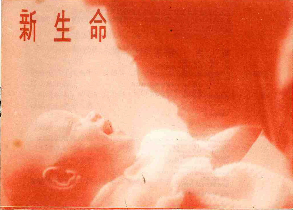 新生命 New Life 新生命