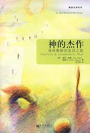 神的傑作 Fearfully & Wonderfully Made 神的杰作 Fearfully & Wonderfully Made