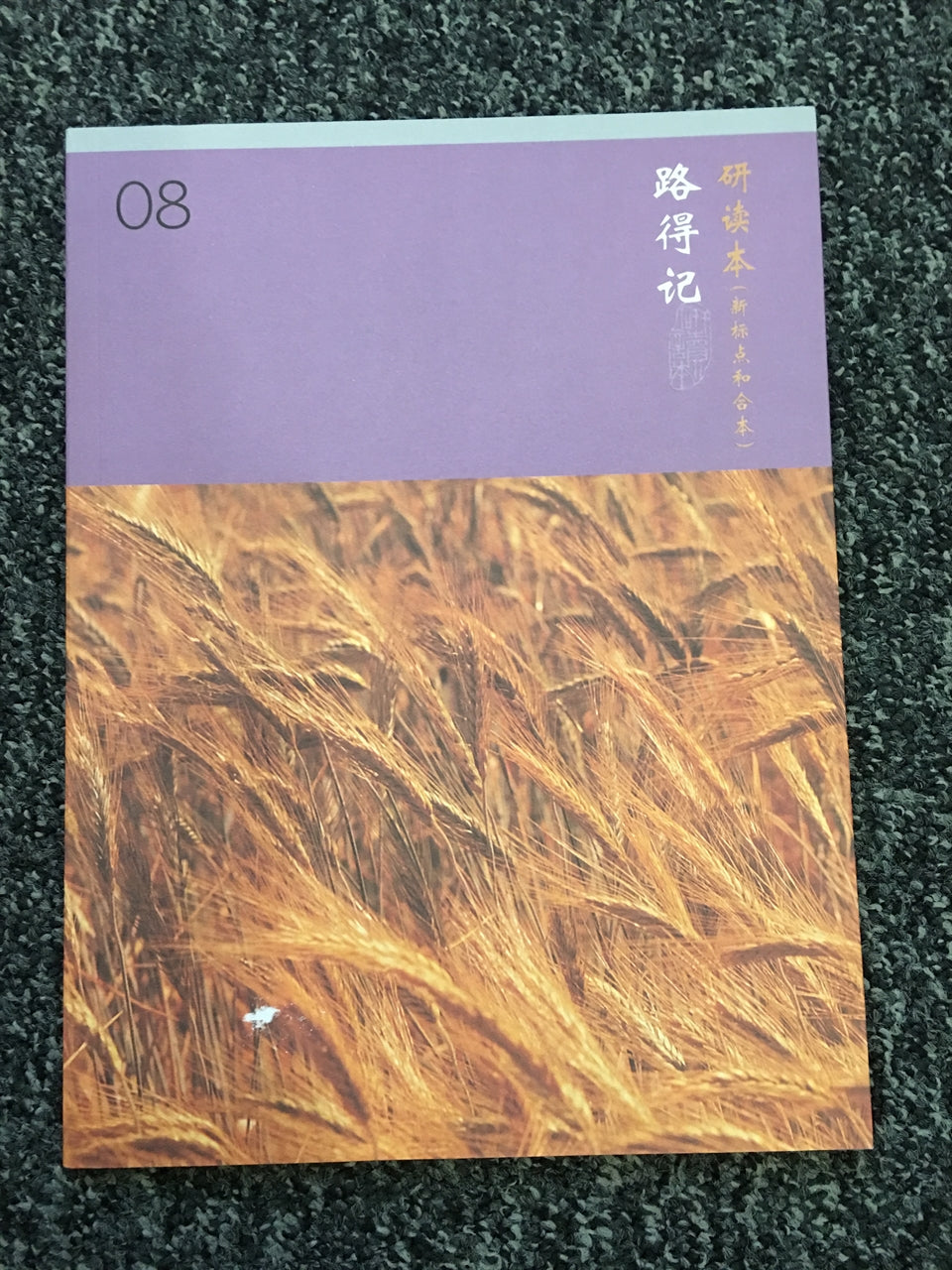 路得記 研讀本 簡體 Ruth Study bible Chinese Simplified 路得记 研读本 简体版