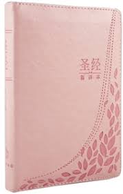 新譯本聖經 輕便裝 簡體.神字版粉紅色儷皮燙銀邊拉鍊連姆指索引 CNV Standard Size, Simp.(Thumb Index) Light Pink PolyU Zipper, Silver Edge 新译本圣经 轻便装 简体.神字版粉红色俪皮烫银边拉链连姆指索引