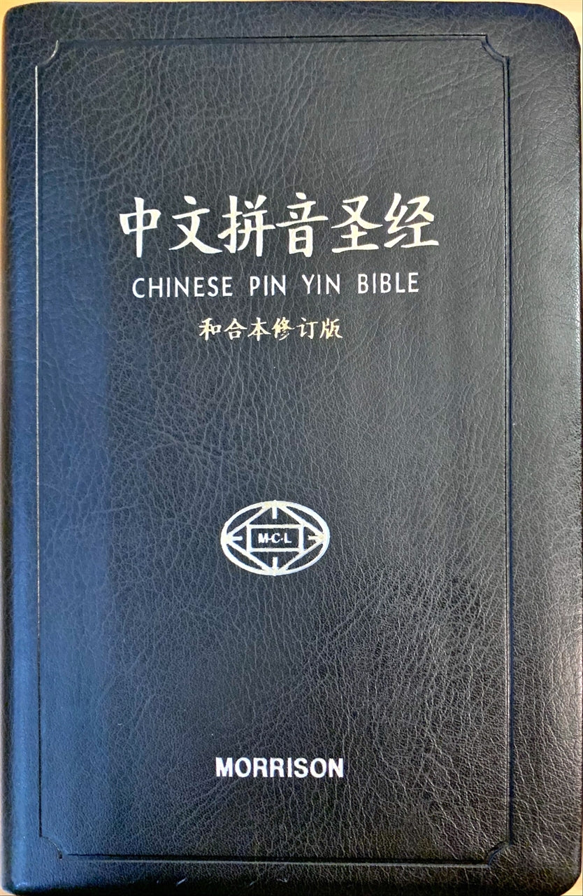 1-3801 新舊約聖經和合本漢語拼音簡體 Chinese Union Version with Pinyin 圣经和合本 (汉语拼音)简体
