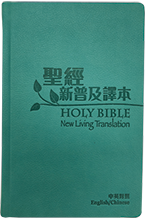 聖經‧新普及譯本/NLT 碧藍皮硬面‧銀邊‧繁體 NLT / CNLT (English / Chinese) Traditional Chinese 圣经‧新普及译本/NLT ‧繁