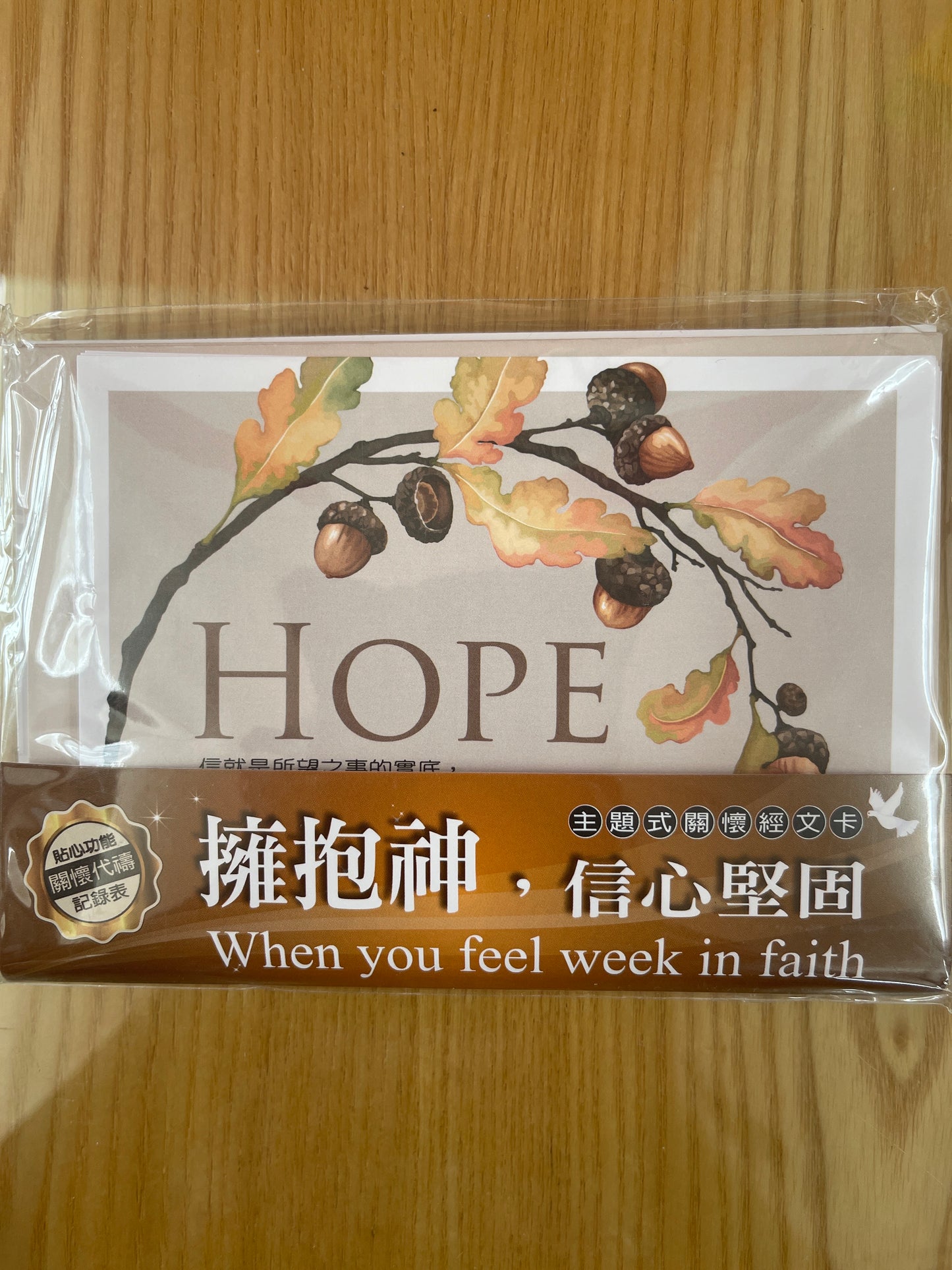 祝福卡 关怀卡： 拥抱神，信心坚固  一套8张 擁抱神，信心堅固 (8 cards per set)