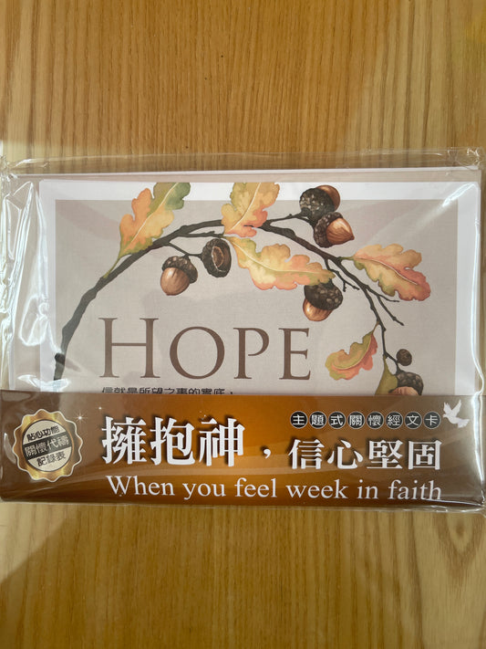 祝福卡 关怀卡： 拥抱神，信心坚固  一套8张 擁抱神，信心堅固 (8 cards per set)