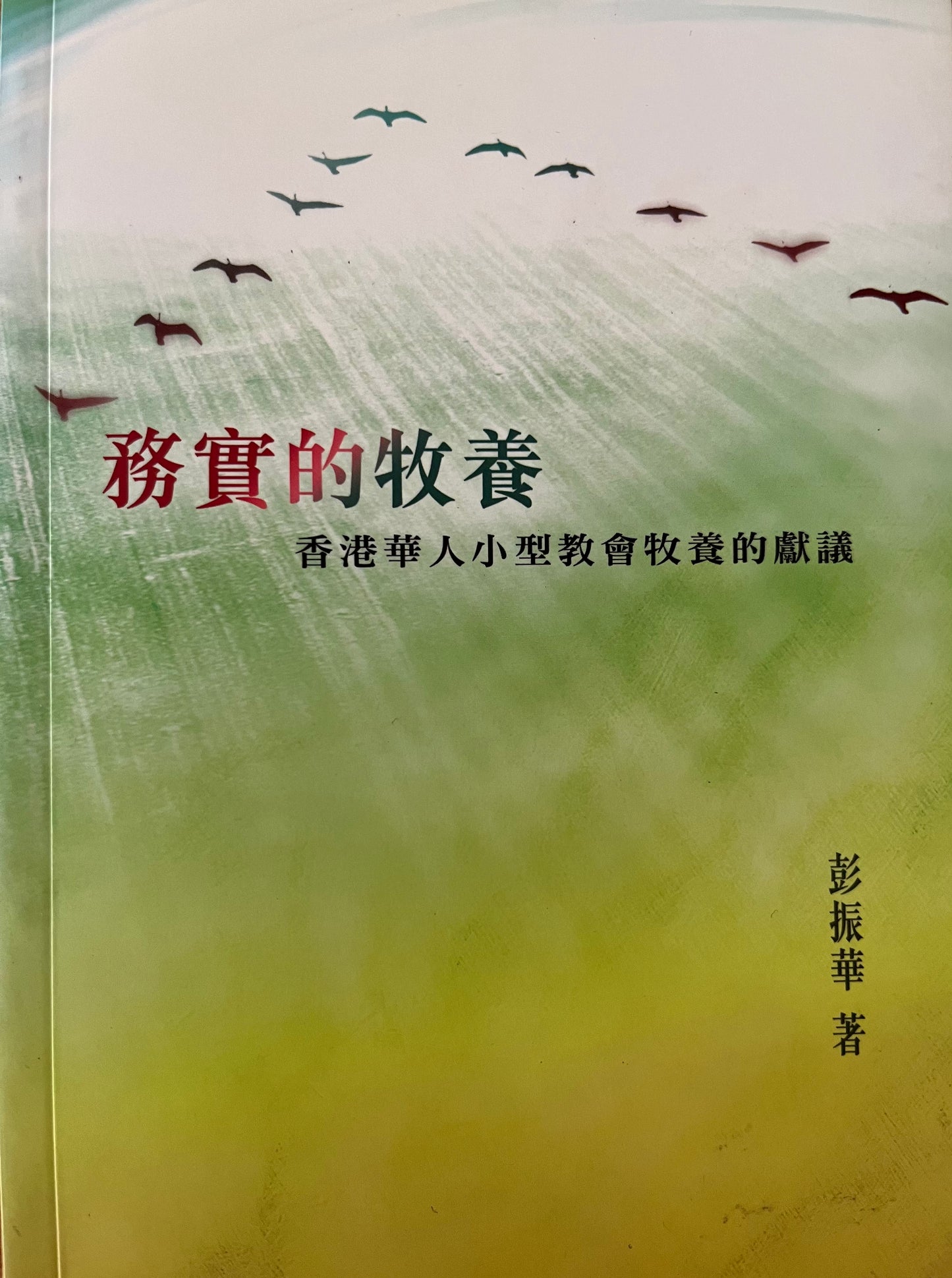 务实的牧养-香港小型堂会牧养献议 Practical Pastoral Care - Pastoral Care Suggestions for Small Churches in Hong Kong 務實的牧養-香港小堂會牧養獻議