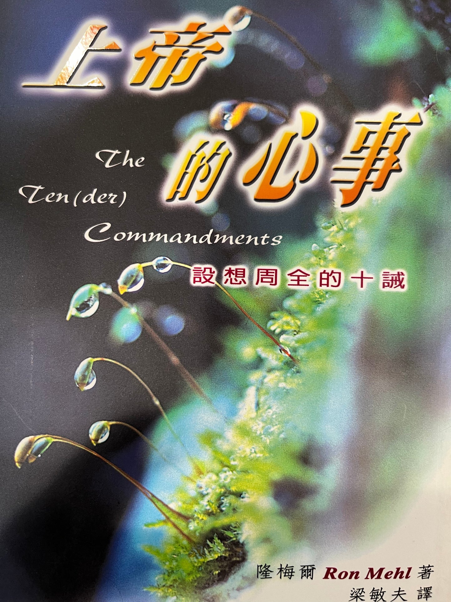 上帝的心事 The Ten Commandments（繁體豎版）