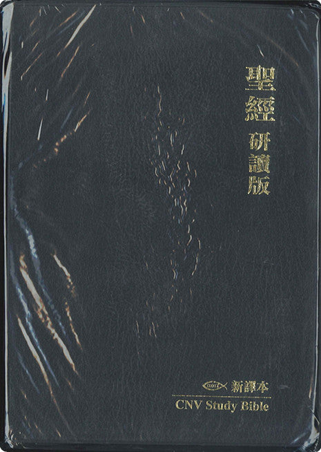新譯本聖經 研讀版 仿皮Chinese New Version Study Bible(繁) 新译本圣经研读版 繁体 仿皮