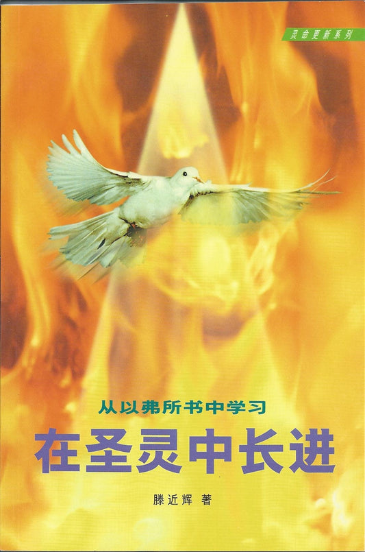 在聖靈中長進 簡體 Growthing In The Holy Spirit 在圣灵中长进 简体